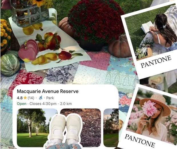 A moodboard collage made in Jodu