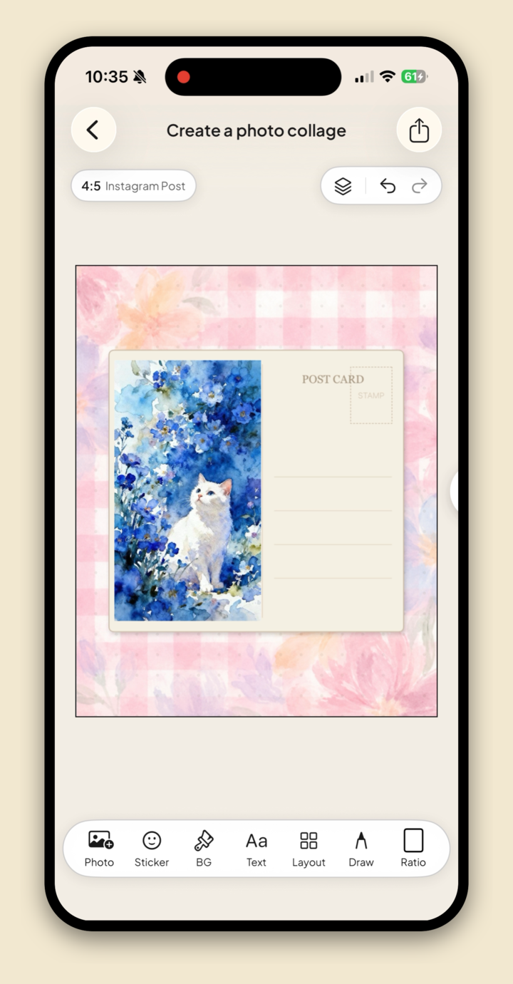 A cat photo placed inside a postcard frame on a pink gingham collage background in Jodu.