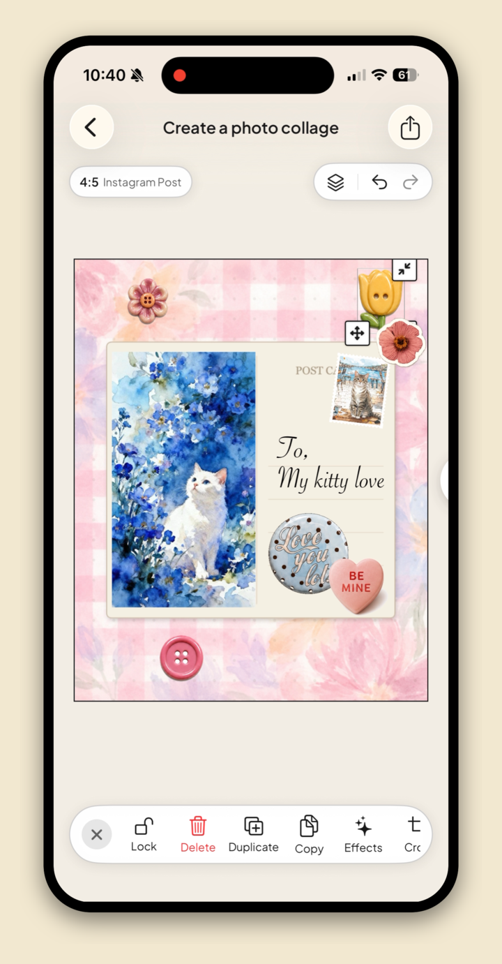 A finished photo collage in Jodu: a framed cat photo on a pink gingham background with stickers, a postage stamp, and handwritten text.