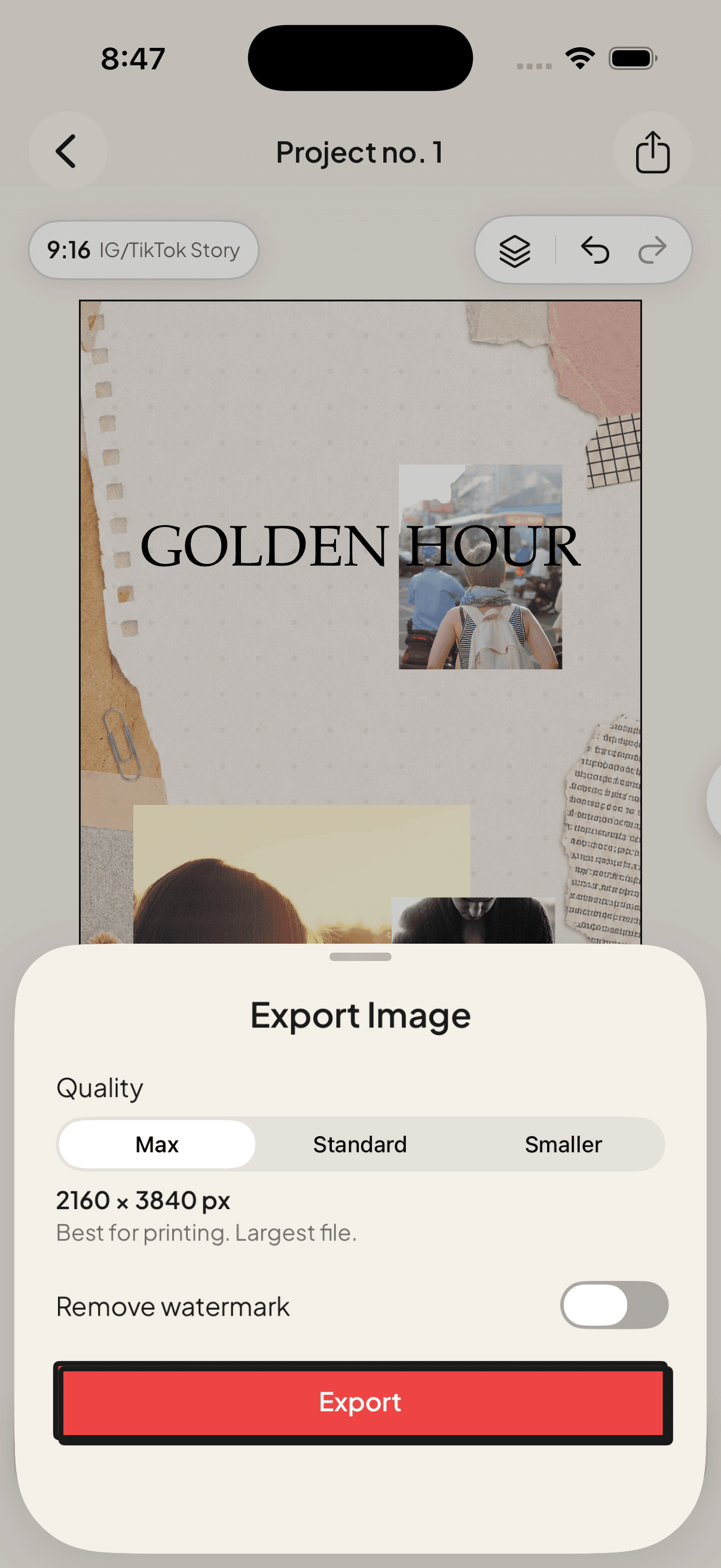 Jodu's Export Image screen offering maximum, standard and smaller image-quality options.